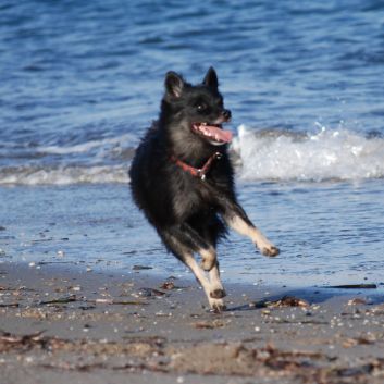 Camping Urlaub mit Spitzen nach Gibraltar 064 Camping Urlaub mit Spitzen nach Gibraltar 064