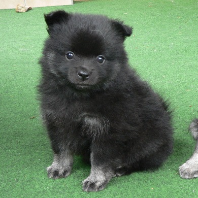 Cassy-2007-06-03 Cassy-2007-06-03