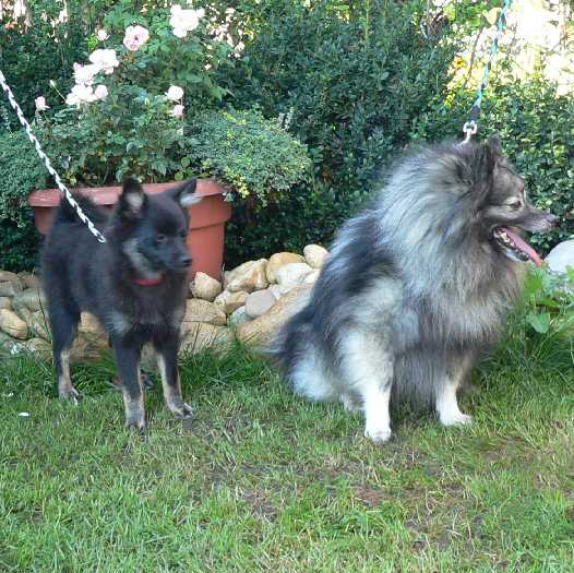 Cassy-Crissby-2007-08-26 Cassy-Crissby-2007-08-26