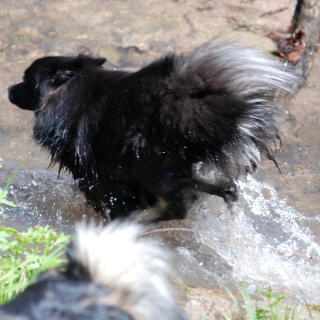 Spitz Cassiopeia von der Roßsteige 10 Spitz Cassiopeia von der Roßsteige 10